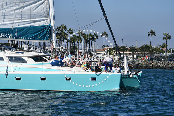 DSC_1331 (1)