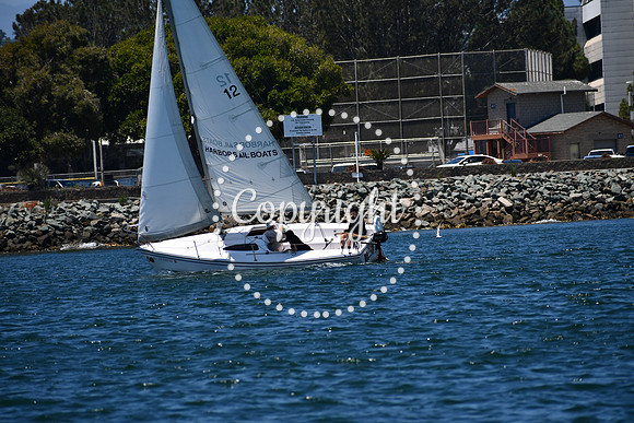 DSC_0240 (1)