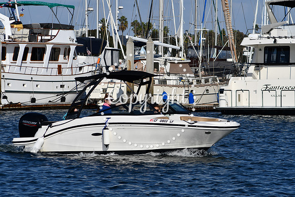 DSC_2328 (1)