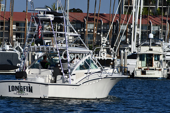 DSC_2364 (1)