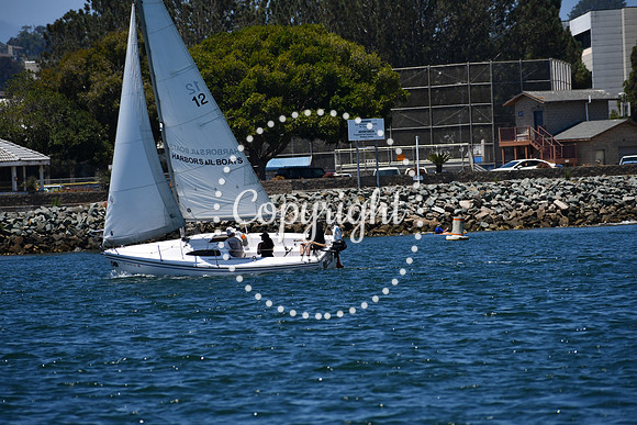 DSC_0242 (1)