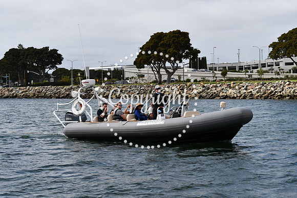DSC_1228 (1)