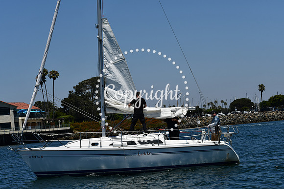 DSC_0253 (1)