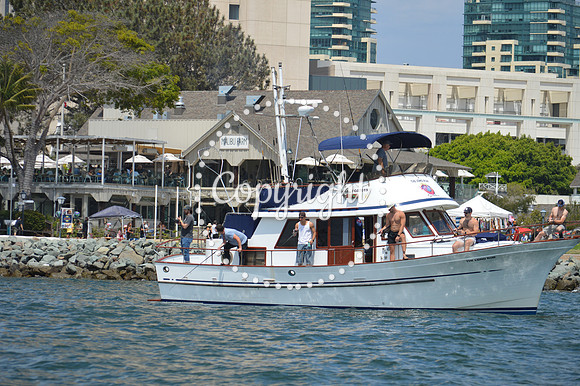 DSC_0158 - Copy