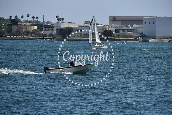 DSC_0547 (1)