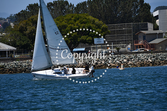 DSC_0241 (1)