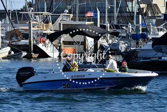 DSC_2339 (1)