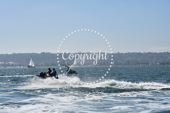 DSC_1391 (1)