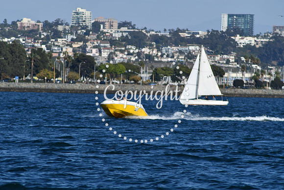 DSC_2314 (1)