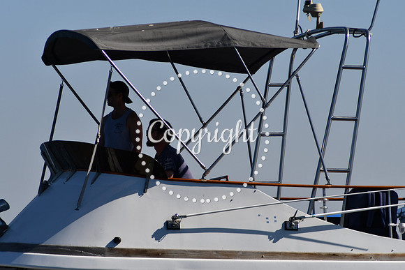 DSC_1941 (1)