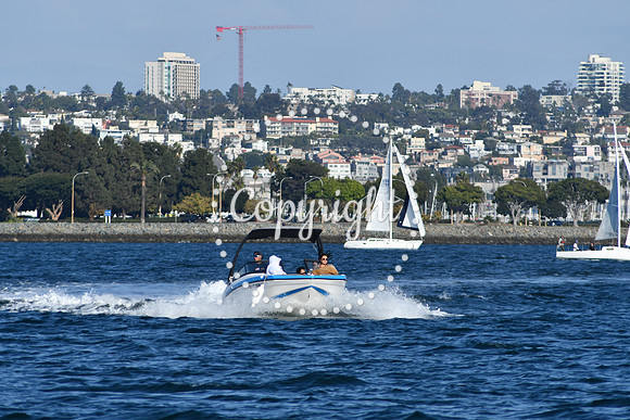 DSC_2299 (1)