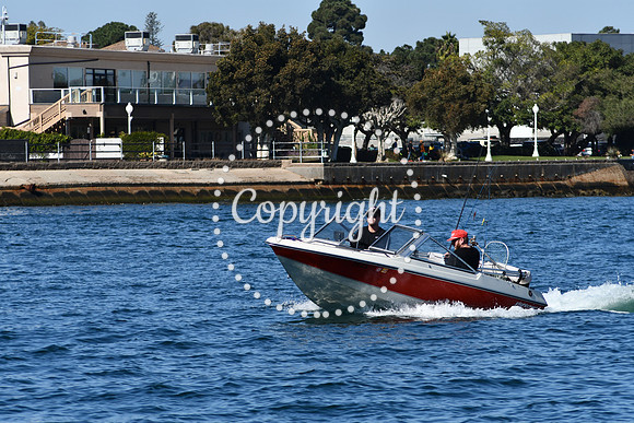 DSC_1931 (1)