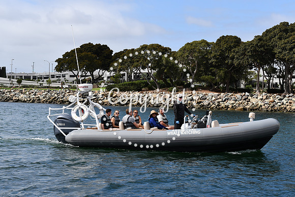 DSC_1230 (1)