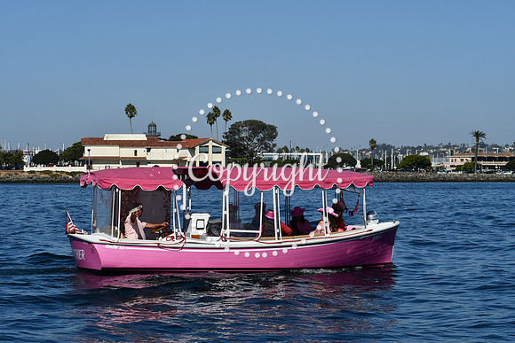 DSC_1965 (1)