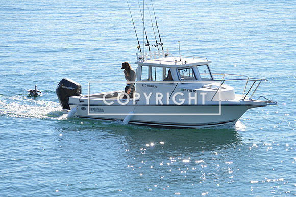 DSC_0039 (1)