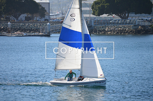 DSC_0090 (1)