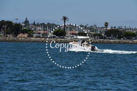 DSC_0229 (1)