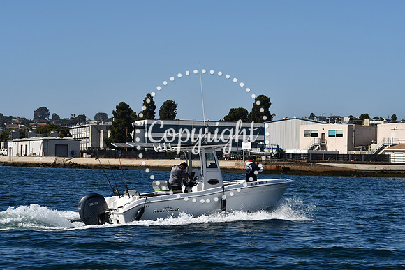 DSC_1951 (1)