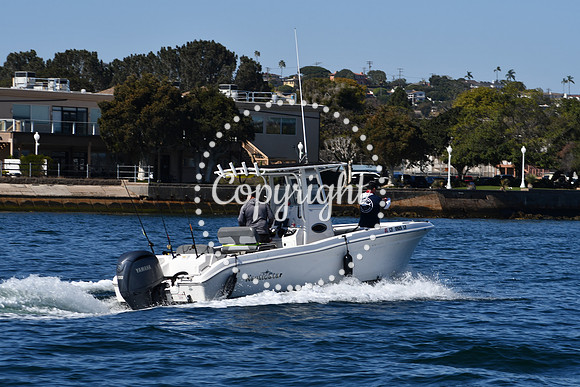 DSC_1954 (1)