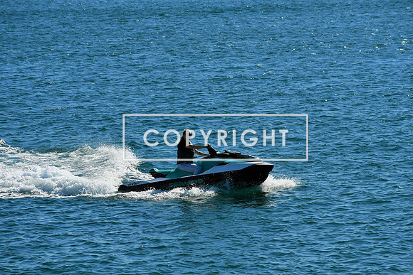 DSC_2958 (2)