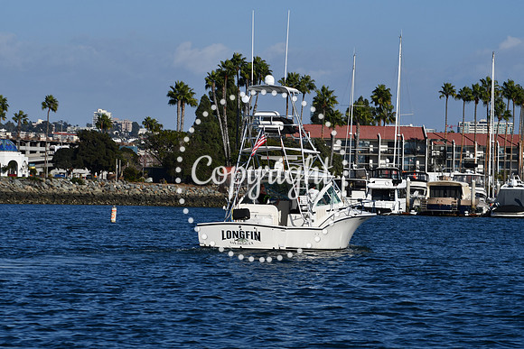 DSC_2360 (1)