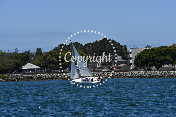 DSC_0239 (1)
