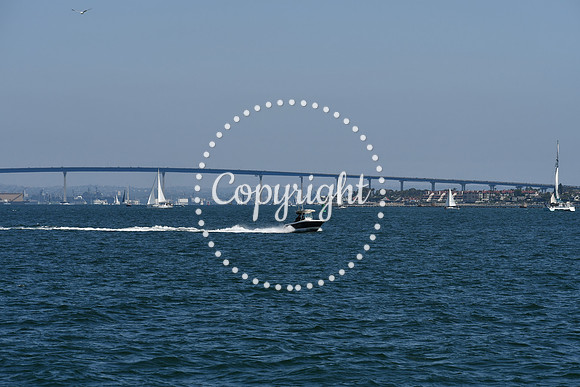 DSC_0550 (1)