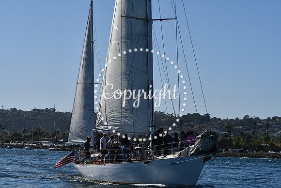 DSC_1988 (1)