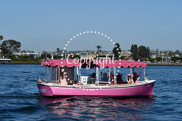 DSC_1967 (1)