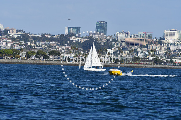 DSC_2312 (1)