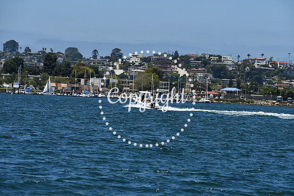 DSC_0234 (1)