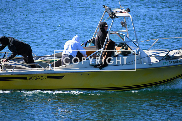 DSC_2846 (2)
