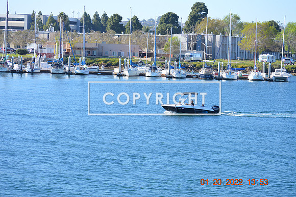 DSC_0035