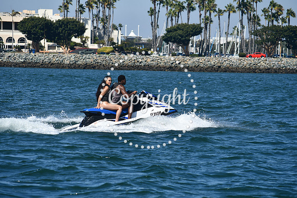 DSC_1290 (1)
