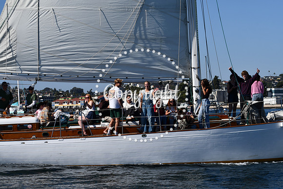 DSC_1994 (1)