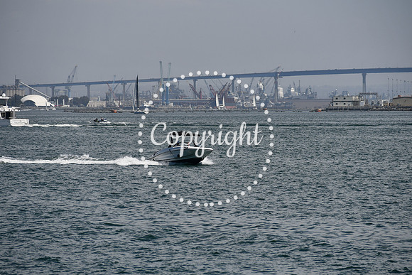 DSC_0449 (2)