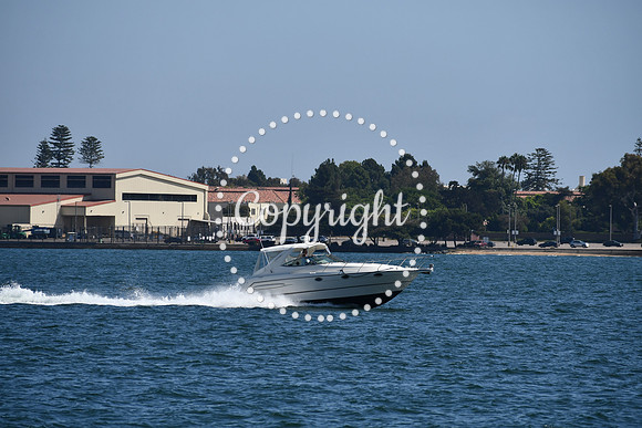 DSC_0587 (1)