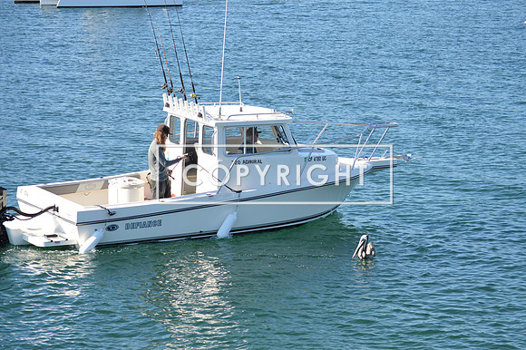 DSC_0047 (1)