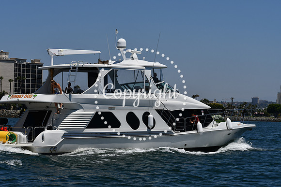 DSC_0263 (1)