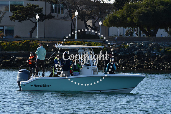DSC_2260 (1)