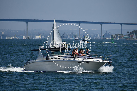 DSC_0523 (1)