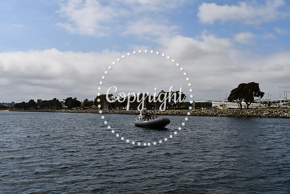 DSC_1225 (1)
