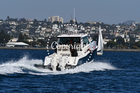 DSC_1885 (1)