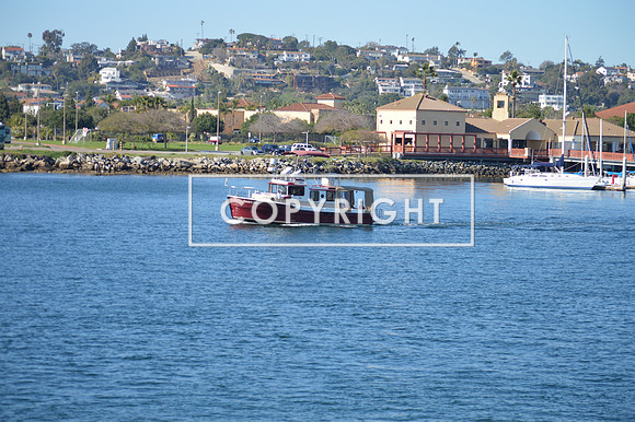 DSC_0072 (1)