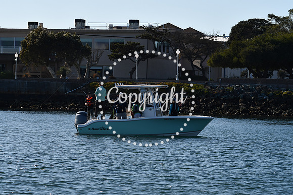 DSC_2259 (1)