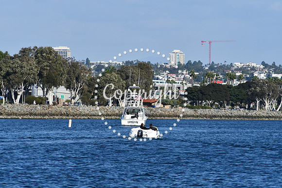 DSC_2331 (1)