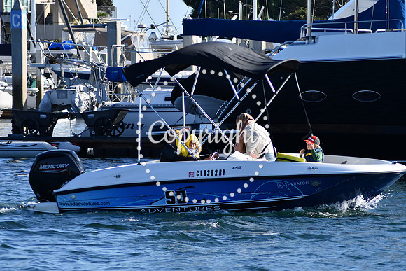 DSC_2340 (1)