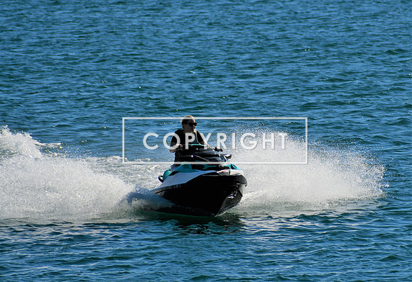 DSC_2951 (2)