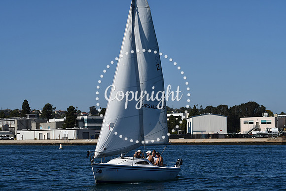 DSC_1917 (1)