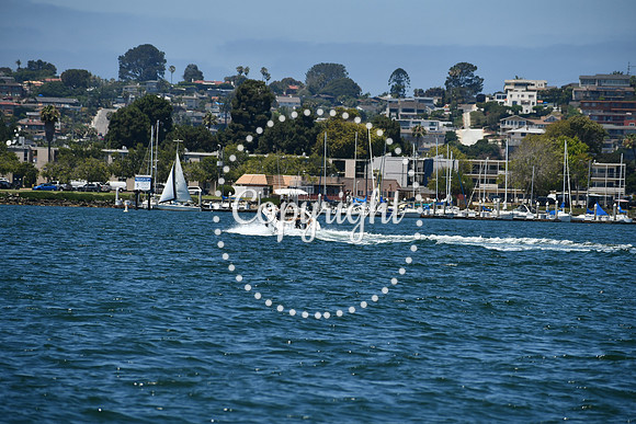 DSC_0235 (1)